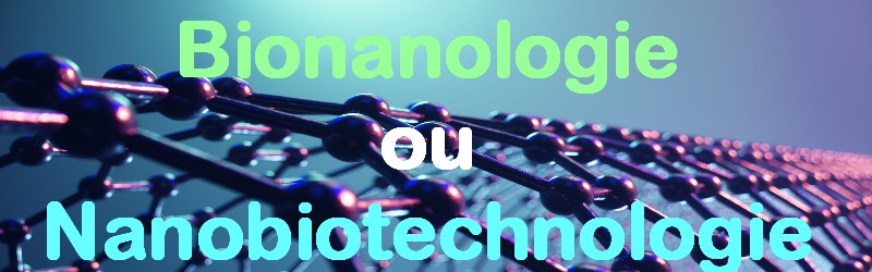 bionanologie nanobiotechnologie