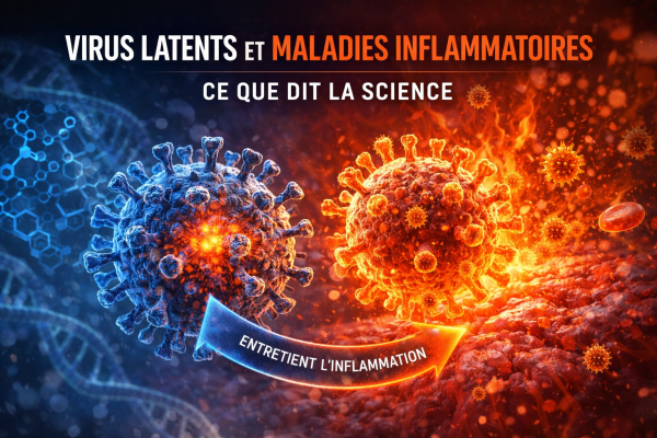 Virus latents et tissu inflammatoire